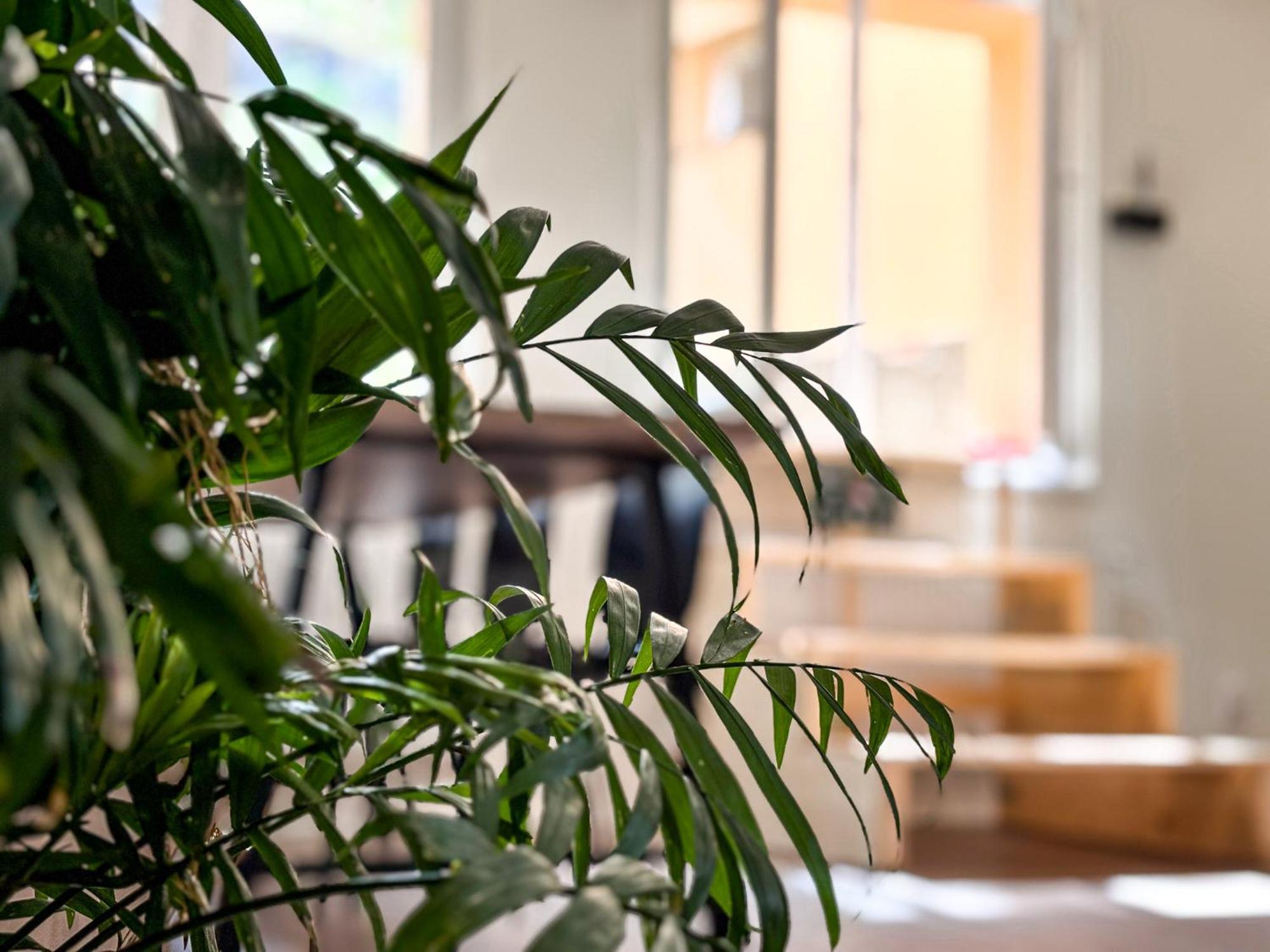 Remote Work Friendly Zahradni Apartman U Jezera Staré Splavy Eksteriør billede